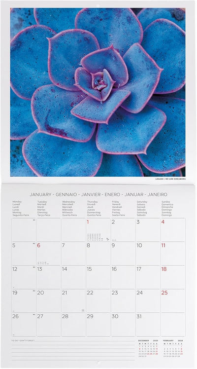Calendario da Parete 12 Mesi Legami con Planner Annuale 2026 Succulents 30 x 29 cm