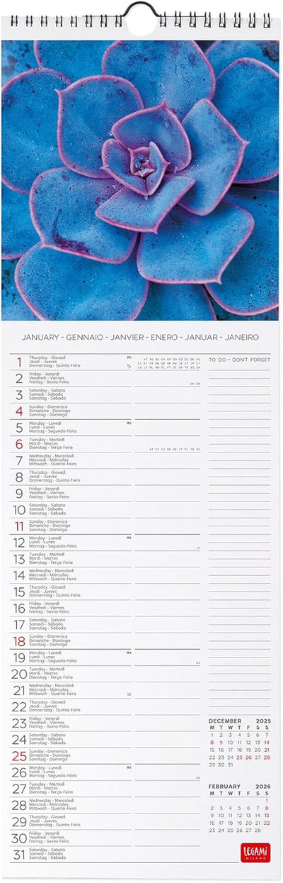 Calendario da Parete 12 Mesi Legami con Planner Annuale 2026 Succulents 16 x 49 cm