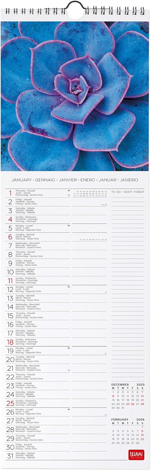 Calendario da Parete 12 Mesi Legami con Planner Annuale 2026 Succulents 16 x 49 cm