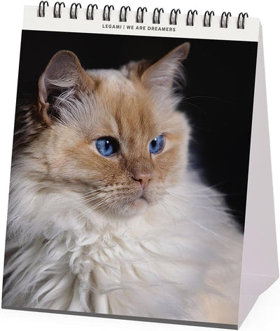 Calendario da Tavolo 12 Mesi Legami con Planner Annuale 2026 Cats 12 x 14,5 cm