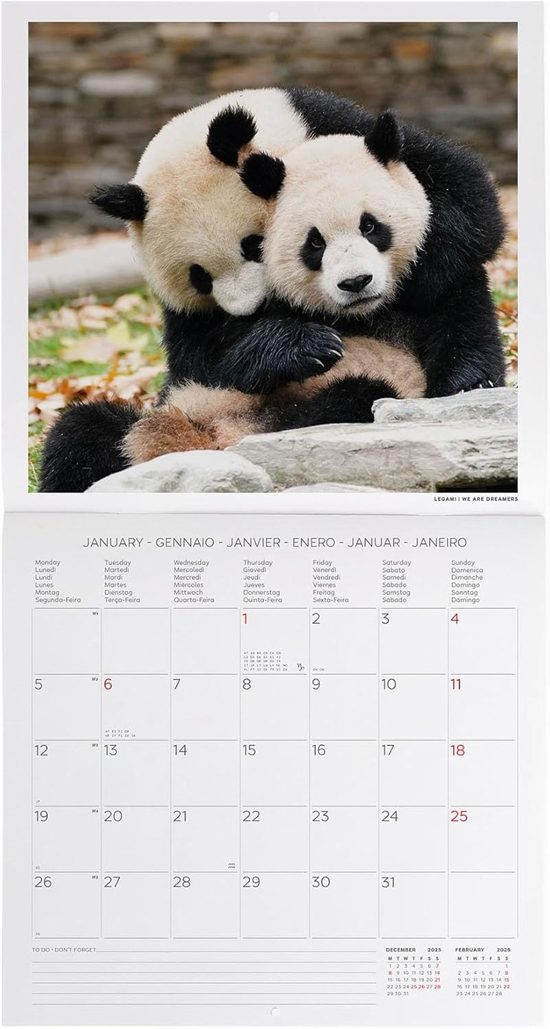 Calendario da Parete 12 Mesi Legami con Planner Annuale 2026 Life is Pantastic 30 x 29 cm