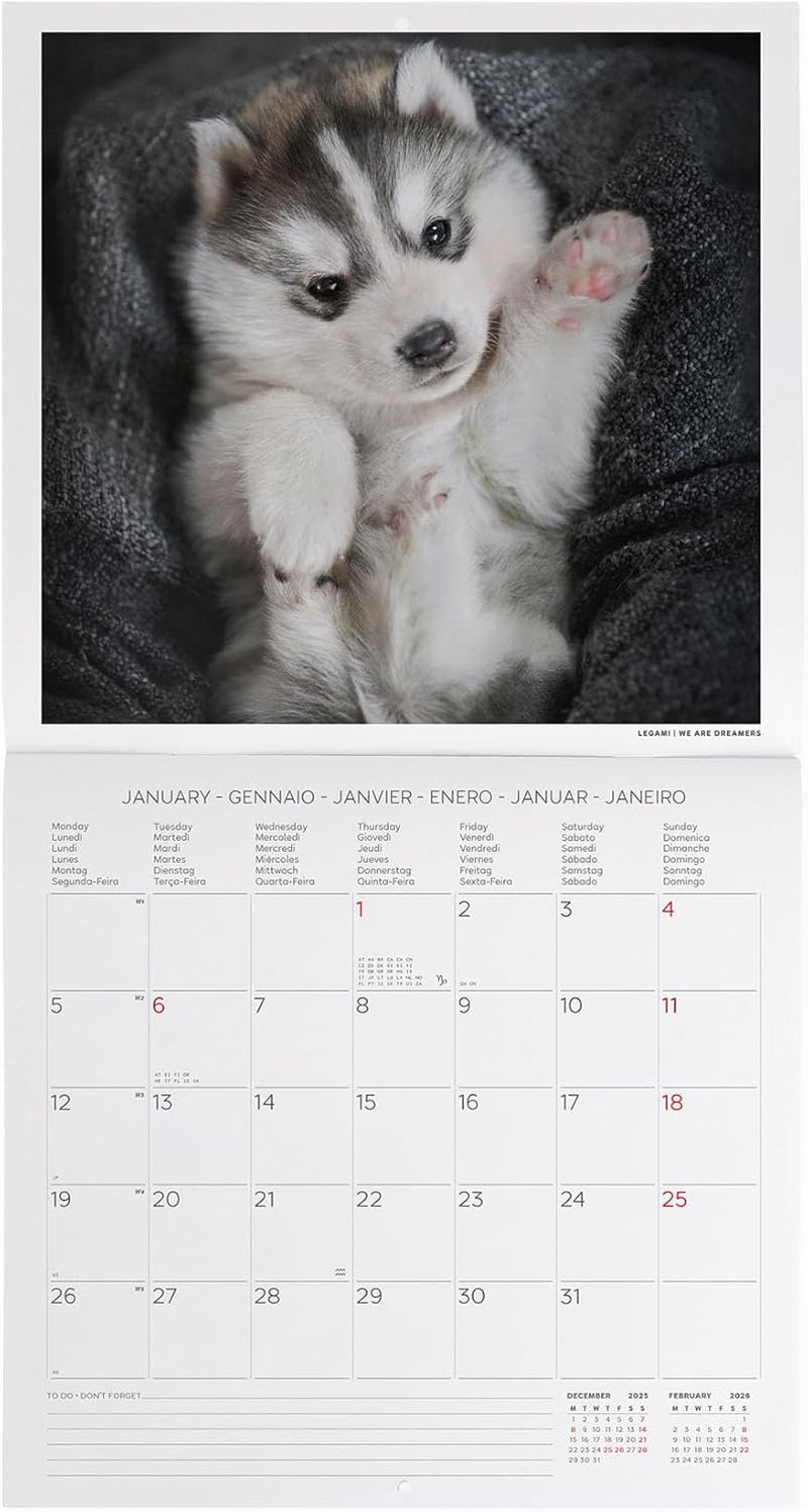 Calendario da Parete 12 Mesi Legami con Planner Annuale 2026 Puppies 30 x 29 cm