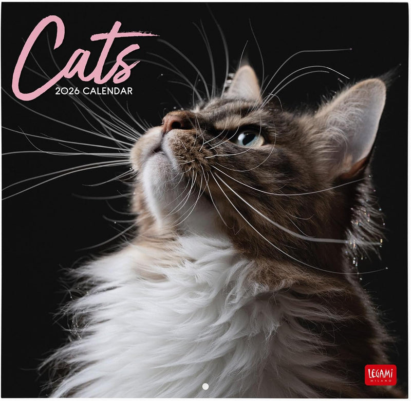 Calendario da Parete 12 Mesi Legami con Planner Annuale 2026 Cats 30 x 29 cm