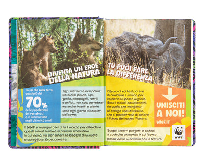 Diario 12 Mesi 25/26 Standard Koala WWF Illustrato