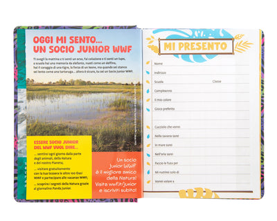 Diario 12 Mesi 25/26 Standard Koala WWF Illustrato