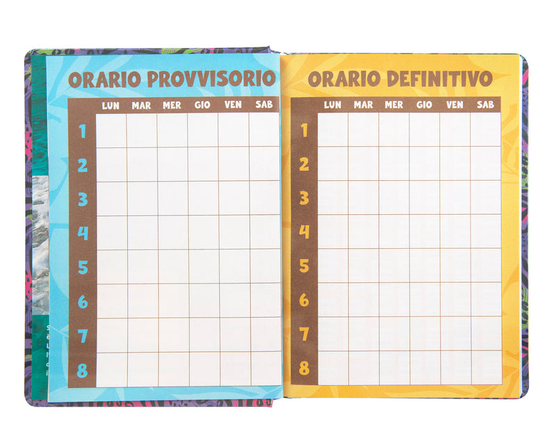 Diario 12 Mesi 25/26 Standard Koala WWF Illustrato