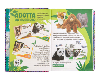 Diario 12 Mesi 25/26 Standard Koala WWF Illustrato