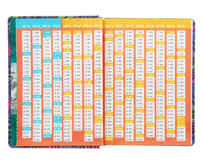 Diario 12 Mesi 25/26 Standard Koala WWF Illustrato