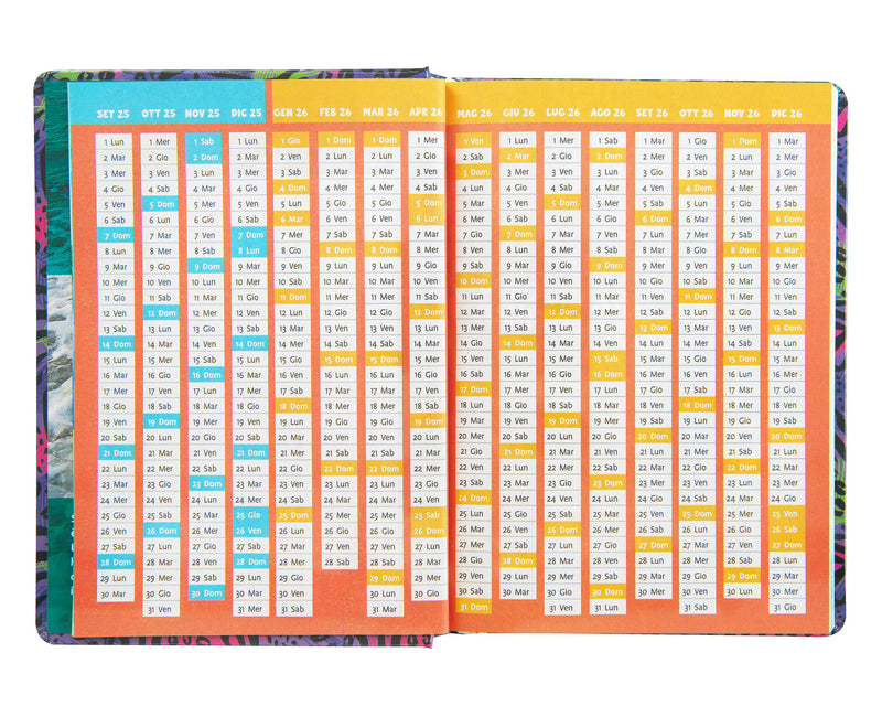 Diario 12 Mesi 25/26 Standard Koala WWF Illustrato