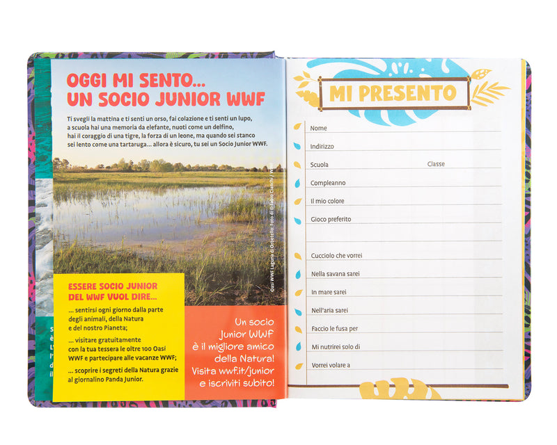 Diario 12 Mesi 25/26 Standard Koala WWF Illustrato