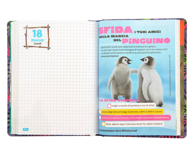 Diario 12 Mesi 25/26 Standard Koala WWF Illustrato