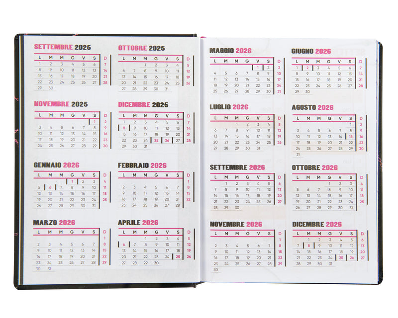 Diario 16 Mesi 25/26 Medium Anna Pepe Pink