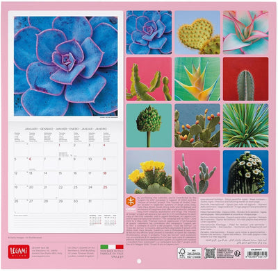 Calendario da Parete 12 Mesi Legami con Planner Annuale 2026 Succulents 30 x 29 cm