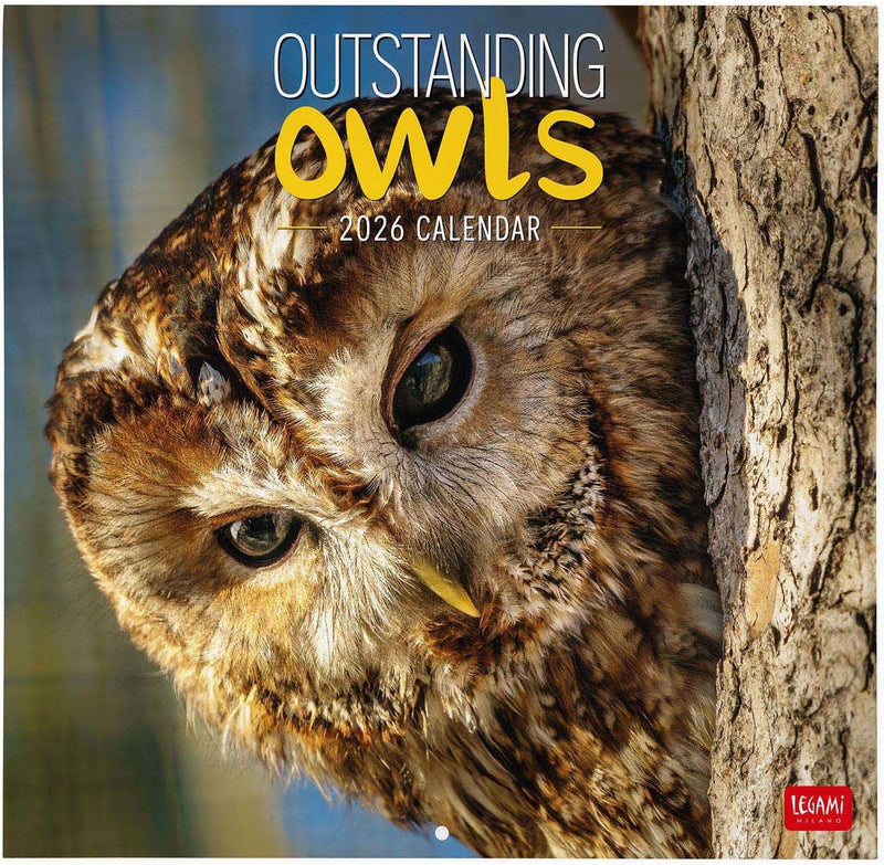 Calendario da Parete 12 Mesi Legami con Planner Annuale 2026 Outstanding Owls 30 x 29 cm