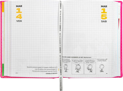 Agenda 16 Mesi 2024 Standard Special Comix Rosa