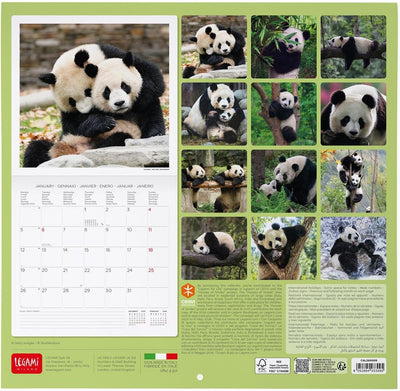 Calendario da Parete 12 Mesi Legami con Planner Annuale 2026 Life is Pantastic 30 x 29 cm