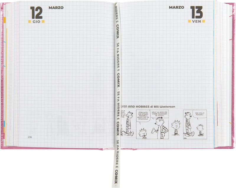 Diario 16 Mesi 25/26 Special Comix Mini Rosa