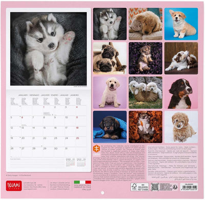 Calendario da Parete 12 Mesi Legami con Planner Annuale 2026 Puppies 30 x 29 cm