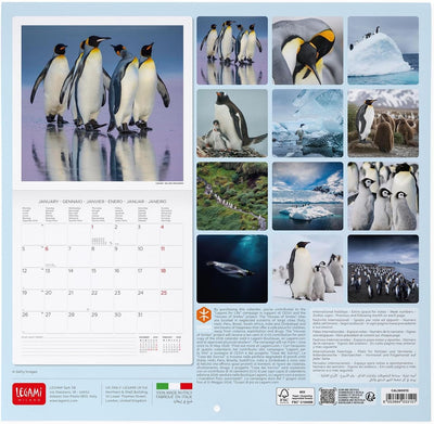 Calendario da Parete 12 Mesi Legami con Planner Annuale 2026 Penguins 30 x 29 cm