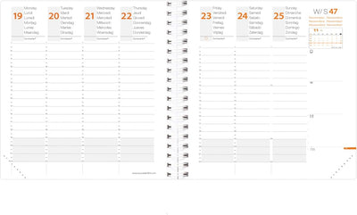 Diario 2024, Agenda giornaliera, Regalo personalizzato, Agenda A5, Agenda  2024, Calendario giorno per giorno, Diario 2024, Agenda Cheetah -   Italia