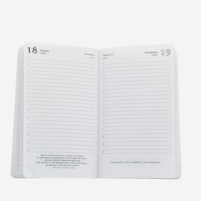 Agenda 12 Mesi Filosofica Giornaliera Intempo 2026 Media Beige 13 x 21 cm