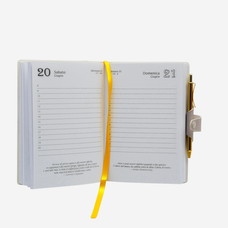 Agenda 12 Mesi Filosofica Giornaliera Intempo 2026 Piccola Fucsia 9 x 14 cm