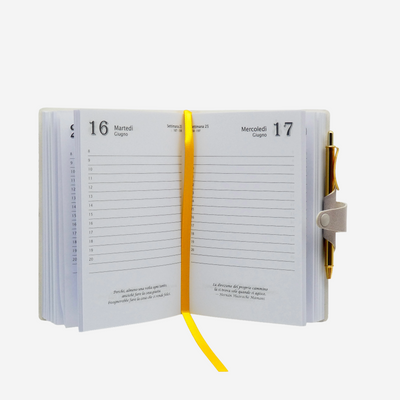 Agenda 12 Mesi Filosofica Giornaliera Intempo 2026 Piccola Fucsia 9 x 14 cm