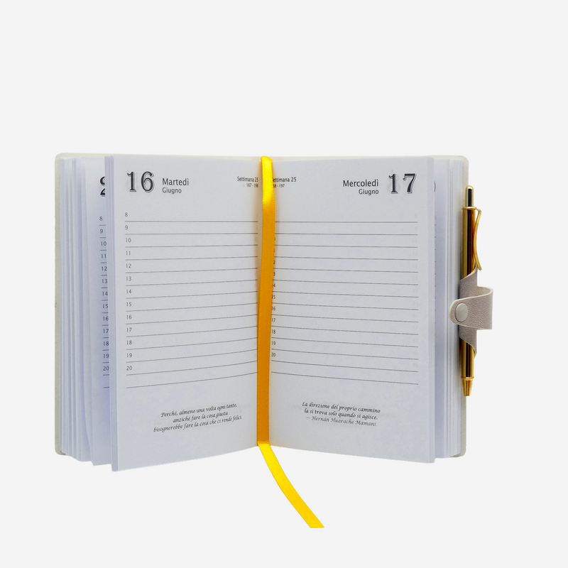Agenda 12 Mesi Filosofica Giornaliera Intempo 2026 Piccola Fucsia 9 x 14 cm