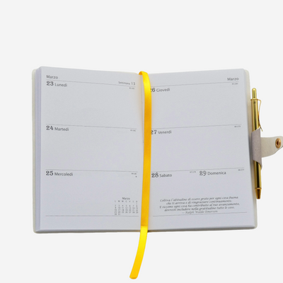 Agenda 12 Mesi Filosofica Settimanale Intempo 2026 Piccola Verde 9 x 14 cm
