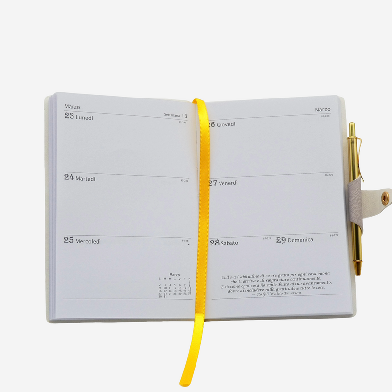 Agenda 12 Mesi Filosofica Settimanale Intempo 2026 Piccola Verde 9 x 14 cm