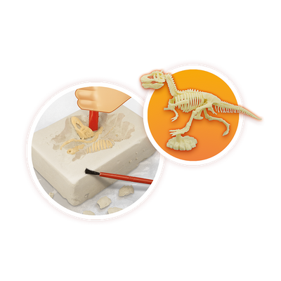 Vulcani e Dinosauri