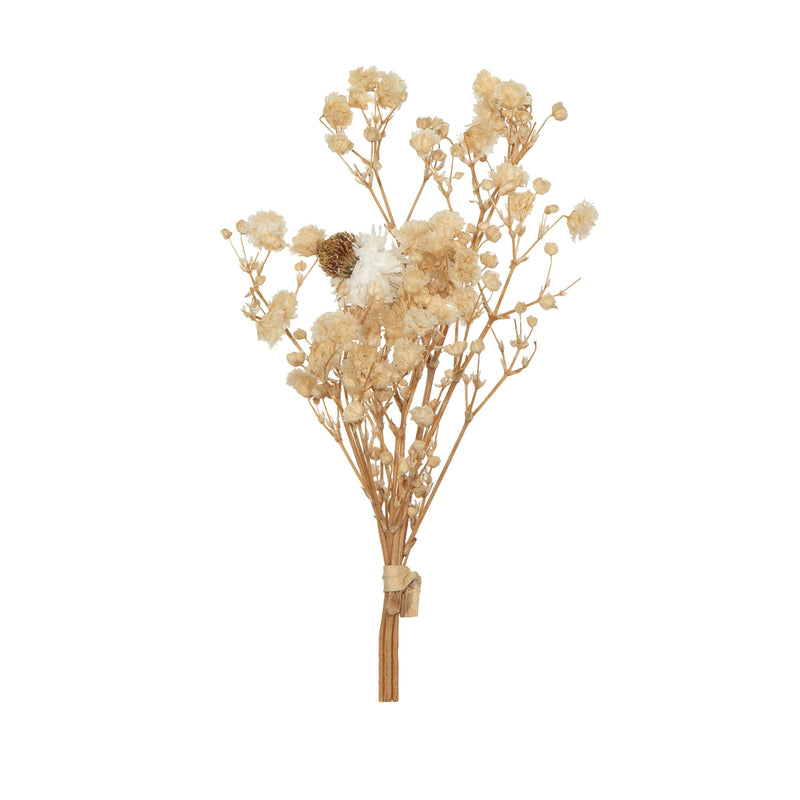 Pick Fiori Secchi Crema 10 cm
