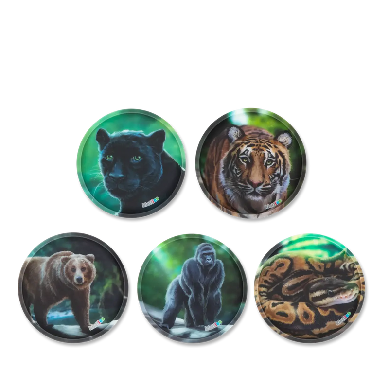 Klettie-Set Ergobag Jungle - 5 pezzi
