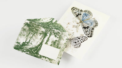 Cofanetto Carta da Lettere A5 Pepin Natural History con Buste
