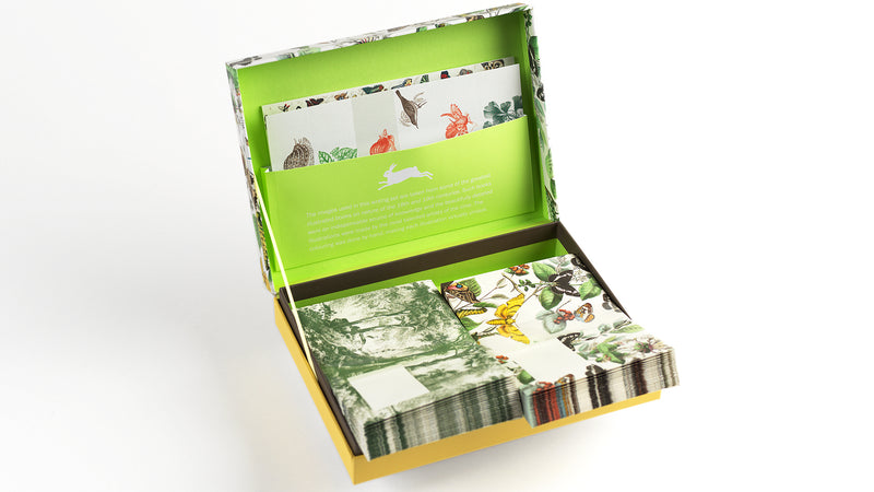 Cofanetto Carta da Lettere A5 Pepin Natural History con Buste