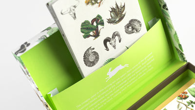 Cofanetto Carta da Lettere A5 Pepin Natural History con Buste