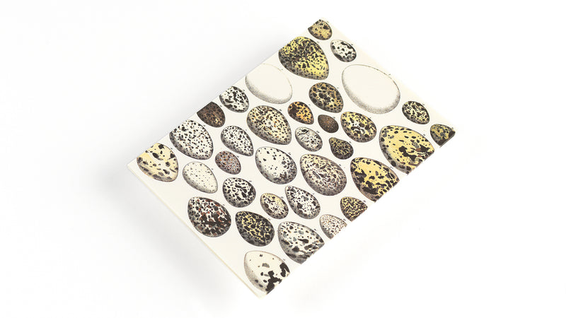 Cofanetto Carta da Lettere A5 Pepin Natural History con Buste