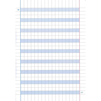 Quaderno Maxi Didattico Rigatura Speciale per Disgrafici Quadretti 1 cm / 100 gr / 18 fogli