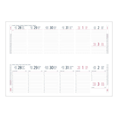 Planning Settimanale 12 Mesi Spiralato Intempo Poliplan 30 x 10 cm - 2025