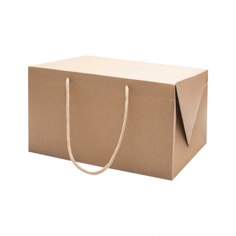 Borse Bagbox in Carta Kraft 30 x 17 x 20 cm - 10 pezzi