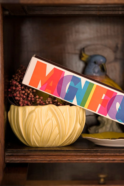 Fiammiferi in Legno The Archivist Magnifique Long Matches