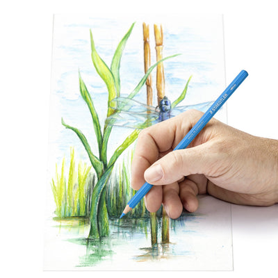 Pastelli Acquerellabili Staedtler Esagonali Design Journey - 12 pezzi