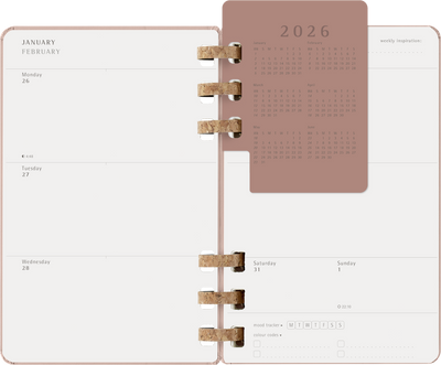 Agenda 12 Mesi Settimanale Moleskine Large Life Planner con Copertina Rigida e Spirale Almond 2026