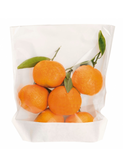Sacchetti Turtle Kraft Bianco con Finestra Polipropilene 20 x 24 x 3,5 cm - 100 pezzi