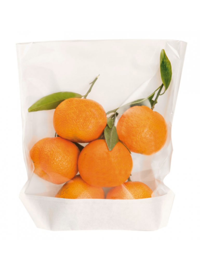 Sacchetti Turtle Kraft Bianco con Finestra Polipropilene 20 x 24 x 3,5 cm - 100 pezzi