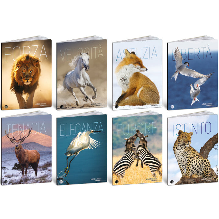 Quaderno Maxi Animal Essence 100 gr / 18 Fogli / a Quadretti 10 mm - 10 pezzi