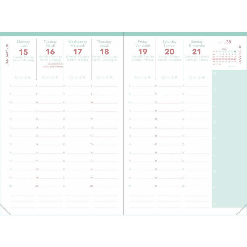 Agenda 13 Mesi Settimanale Quo Vadis Affari Calypso 2026 Rosa 10 x 15 cm