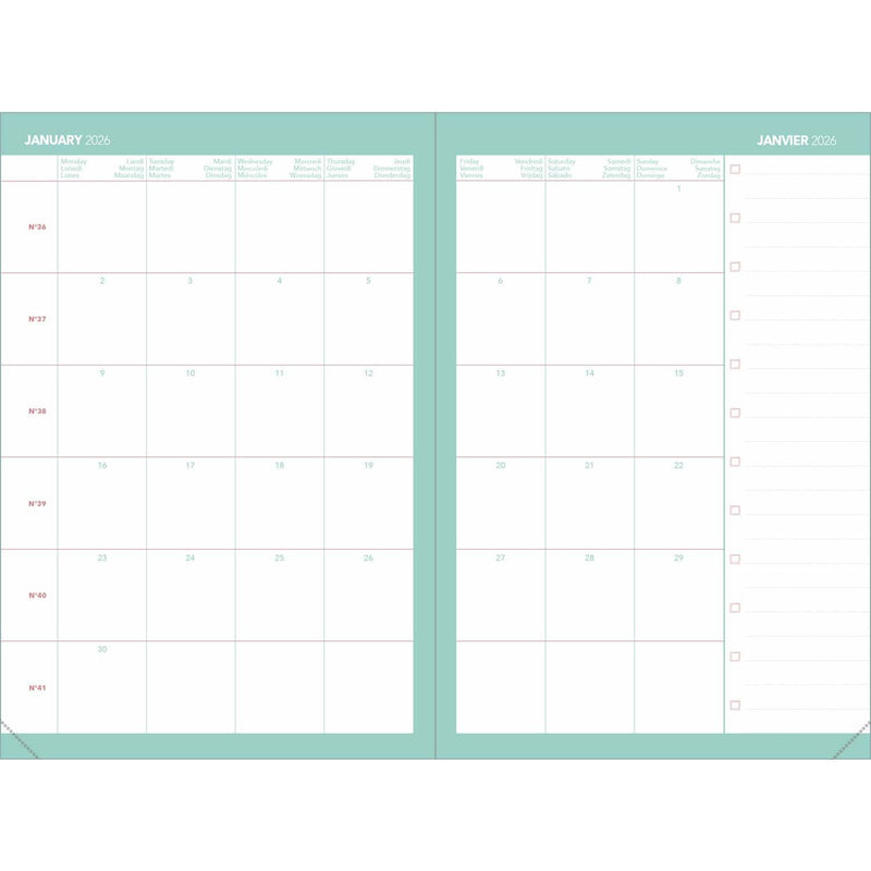 Agenda 13 Mesi Settimanale Quo Vadis Affari Calypso 2026 Rosa 10 x 15 cm