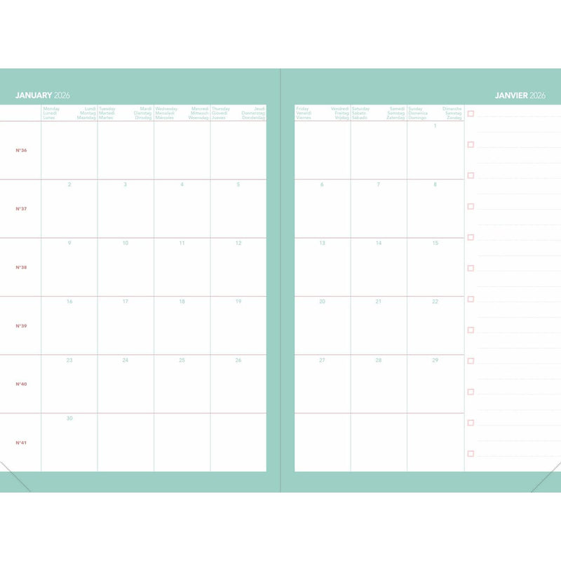 Agenda 13 Mesi Settimanale Quo Vadis Ministro Calypso 2026 Verde 16 x 24 cm