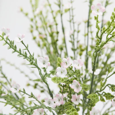 Ramo Ginestra Verde e Rosa 55 cm